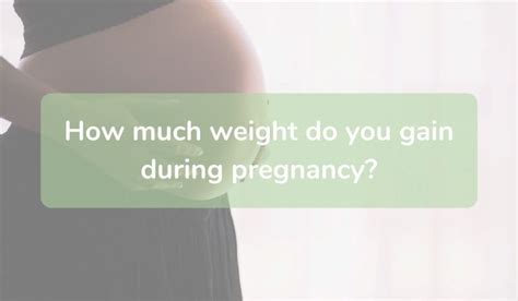 How Much Weight Should You Gain In The Third Trimester