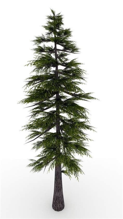 Pine Tree 3d Model Cgtrader