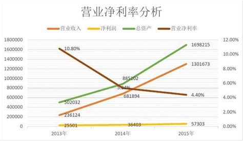 乐视公司财务报表分析文档之家