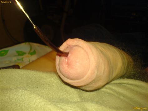 Amateur Pics 9378 IMG 234 Porn Pic