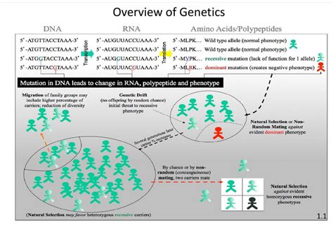 Genetics Textbook — DecisionLearning
