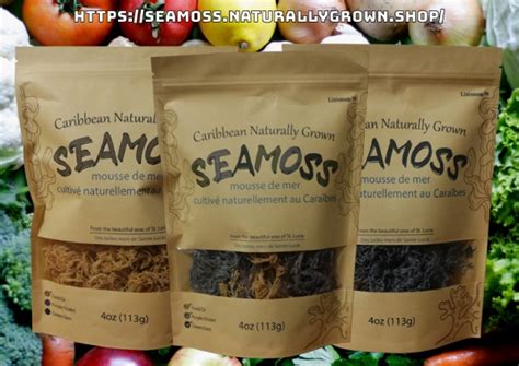 Lixismom Investment Inc. | London ON