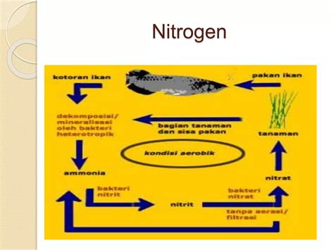 Siklus Materi Oksigen Karbon Nitrogen Ppt