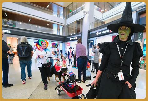 Spooktacular Halloween Destinations & Hassle-Free Travel | Airport Assist