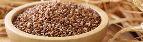 Контактная информация