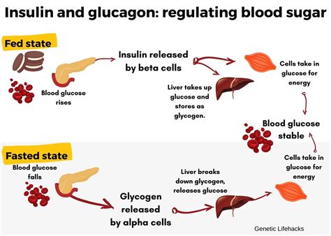 Glucose Levels