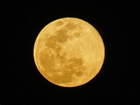 Luna De Lobo Cu Ndo Ser La Primera Luna Llena Del A O Norte