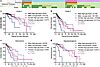 Jci Insight Sexual Dimorphism In Glioma Glycolysis Underlies Sex