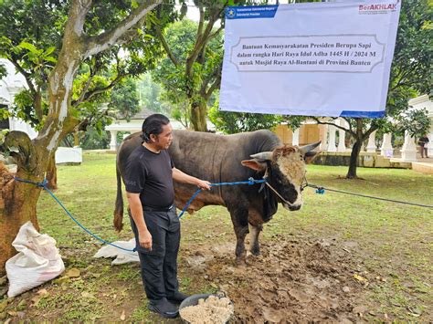 Cek Kesehatan Hewan Kurban Pj Gubernur Banten Kesehatan Hewan Kurban