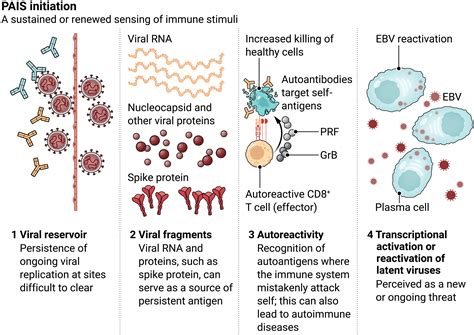 Sex Differences In Postacute Infection Syndromes Science