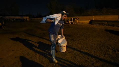 El Duro Relato De Un Tambero Mendocino Que Subsiste En Medio De La