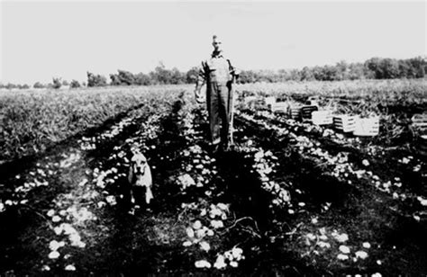 Spud Harvest Harvest Farm Outdoor