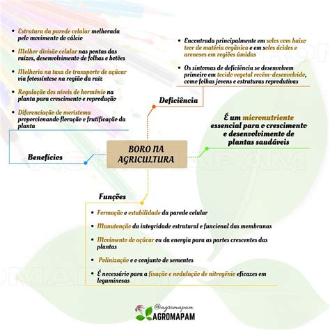 Mapas Mentais Sobre Agroneg Cio Study Maps Transforme Sua Vida Em