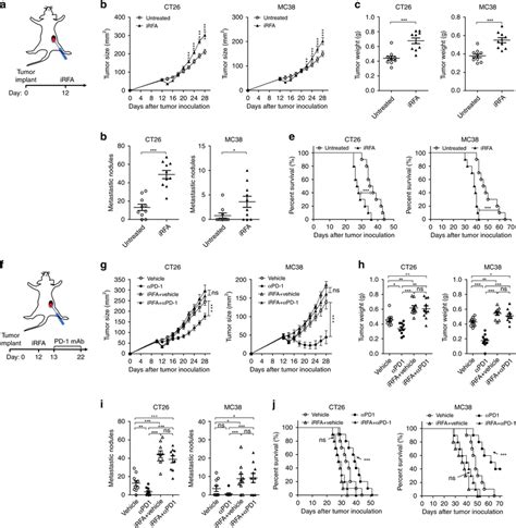 iRFA promotes tumor progression and hinders anti-PD-1 therapy. a ...