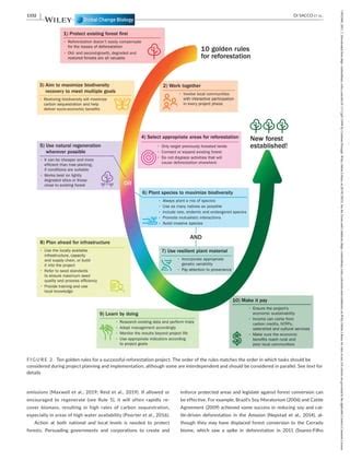 Ten Golden Rules For Reforestation To Optimize Carbon Sequestration