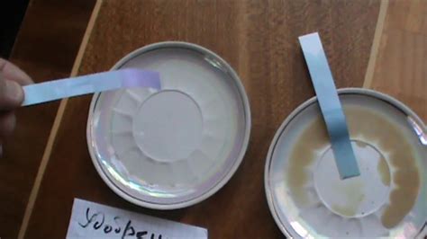 Баковые смеси для обработки винограда - YouTube