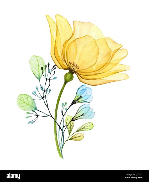 Watercolor floral bouquet with yellow rose and blue snowdrops. Abstract ...