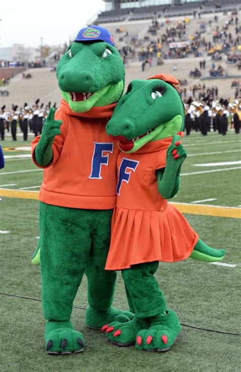 10 Shocking Facts About Gatorgross.com You Won't Believe (Limited Time!) Image 17