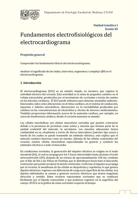 Pr Ctica Ecg Sesi N Iii Unidad Temtica I Sesi N Iii Fundamentos