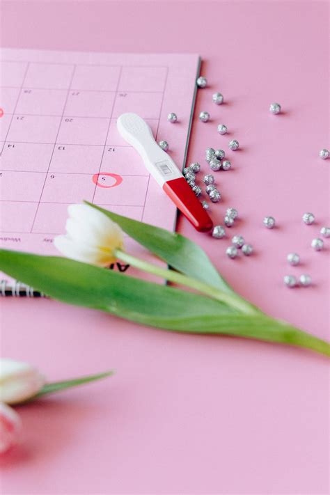 Know Your Cycle This Is What Ovulation Looks Like By Jananam