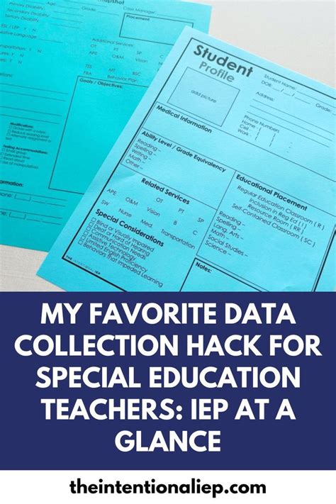 IEP Snapshot EDITABLE IEP At A Glance IEP Data Sheet The