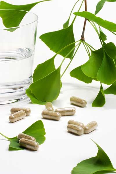 Ginkgo Biloba Benefits May Help Memory Loss Vertigo Osteoporosis And