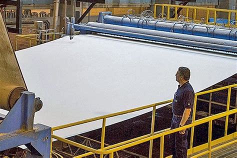 Precios de la celulosa en América Latina su impacto en la región DF SUD