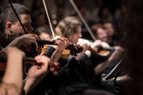 Classical Concerts Amsterdam 2025 Shows Venues And Performers