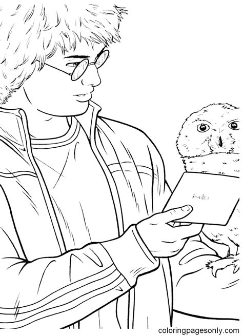 Dibujo Para Colorear Harry Potter Y Hedwig Dibujos Para Colorear My