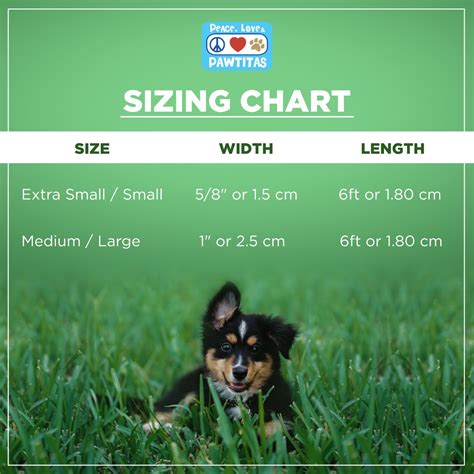 Pawtitas 6 Ft Dog Leash Reflective Dog Leash Dog Training Leash Puppy