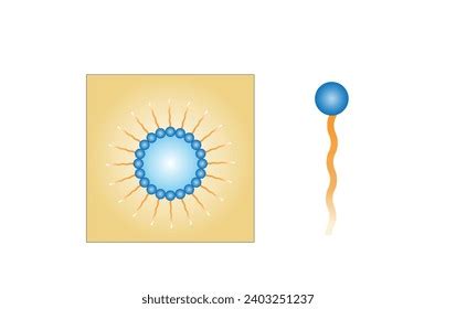 Best Emulsifier Royalty Free Images Stock Photos Pictures Shutterstock