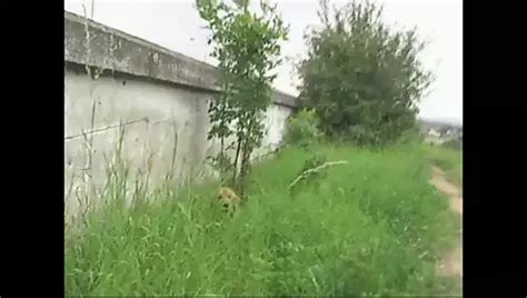 Fuck In Any Place Full Movie Free Free Mobile Movie Porn Video Xhamster