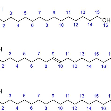 Structure of hexadecanoic acid/palmitic acid (3), (9Z)-Octadec-9-enoic ...