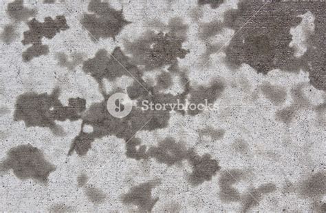 Wet Concrete Royalty Free Stock Image Storyblocks