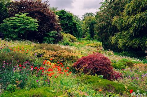 home garden photographer