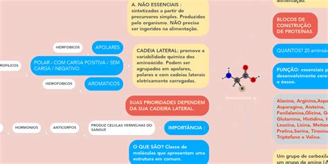 AminoÁcidos Mindmeister Mapa Mental