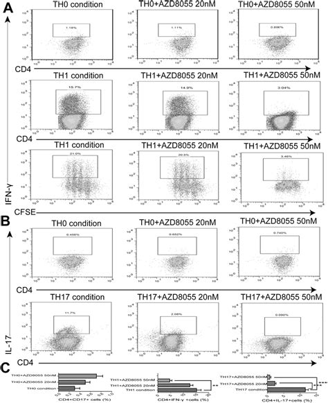 AZD8055 Inhibits The Proliferation And Differentiation Of Naive CD4 T