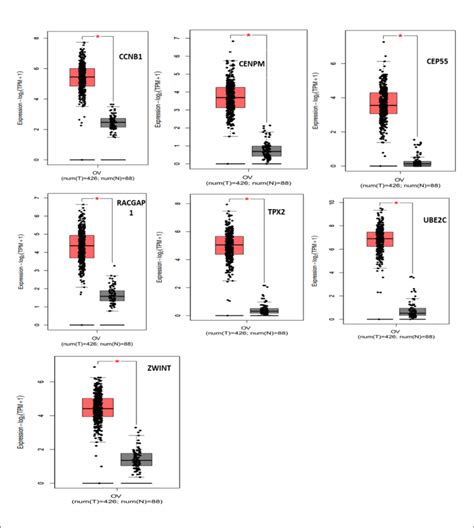 Expression level of the candidate genes in EOC tissues and normal ...