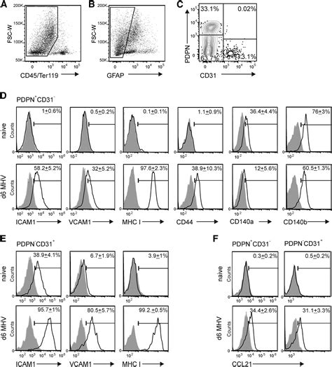 Central Nervous System Stromal Cells Control Local Cd T Cell