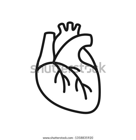 Details More Than Human Heart Drawing Simple Best Seven Edu Vn