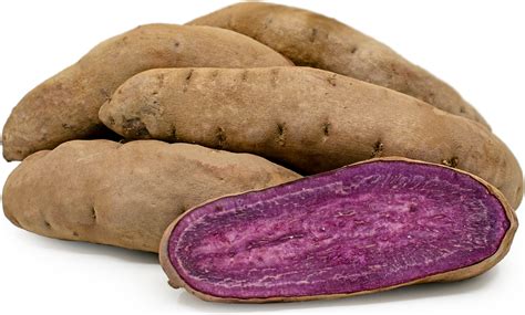 Stokes Purple® Sweet Potato Information And Facts