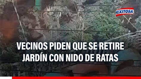 San Juan De Lurigancho Vecinos Piden Que Se Retire El Jard N Con