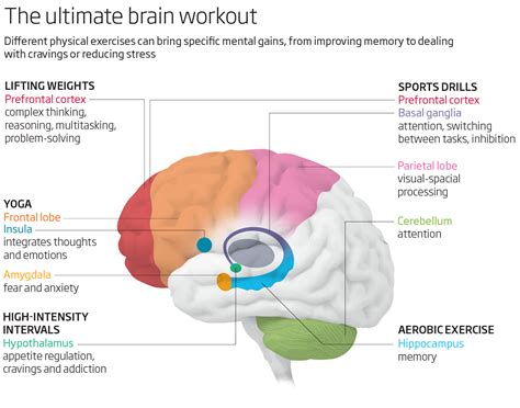 Five Different Physical Exercises That Affect The Brain In Very