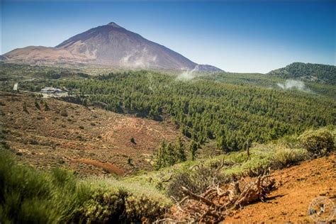 La Orotava Valley | TripsPoint