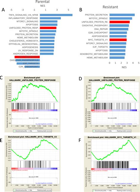 The Gene Set Enrichment Analysis Indicates Unfolded Protein Response Download Scientific