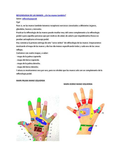 Reflexologia De Las Manos 3 Pags Pdf