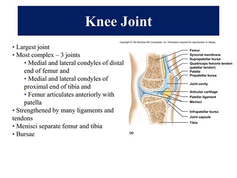 joints | PPT