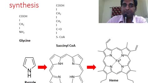 3 Minute Lesson Biochemistry Heme Synthesis Youtube