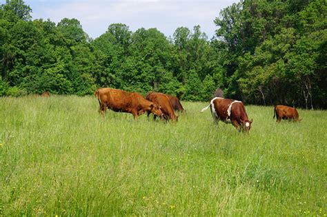 New climate research will be led by agrilife extension 22