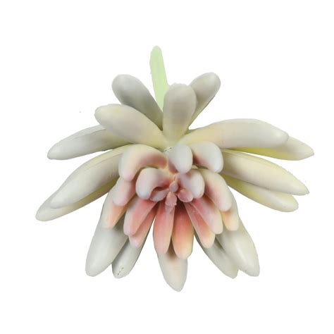 Lotus Succulent Artificiel Esheveria Blanc 105 Cm